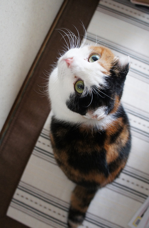 なにもなかった