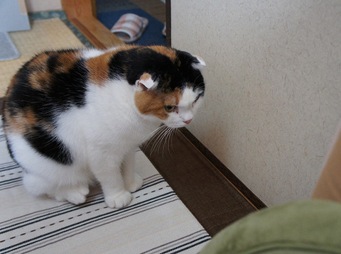 どうしたのかな