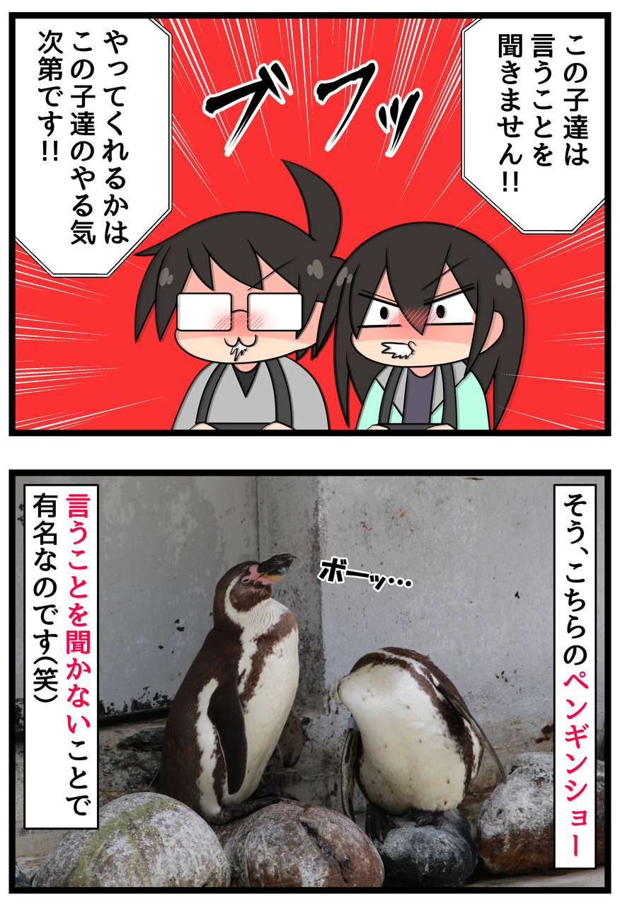 新婚旅行編 言うことを聞かないペンギンショー 前編 ひのみやメモリーズ 新婚旅行編 言うことを聞かないペンギンショー 前編 ひのみやメモリーズ
