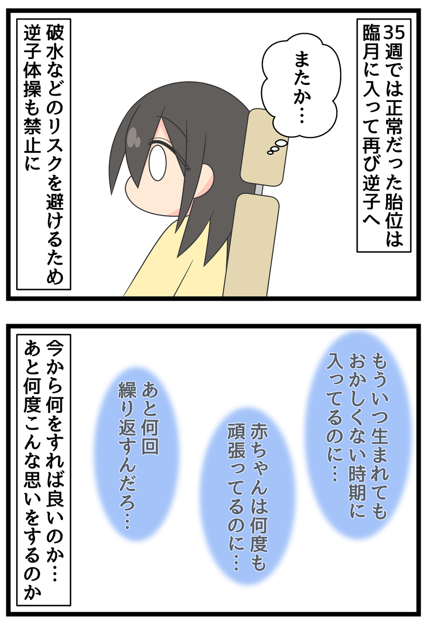 妊娠記録 定まらない胎位 36週 ひのみやメモリーズ 妊娠記録 定まらない胎位 36週 ひのみやメモリーズ