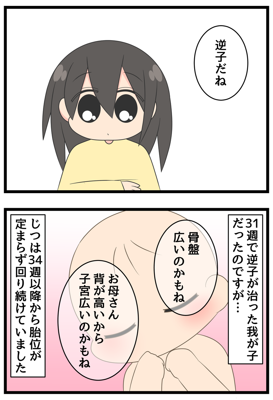 妊娠記録 定まらない胎位 36週 ひのみやメモリーズ 妊娠記録 定まらない胎位 36週 ひのみやメモリーズ
