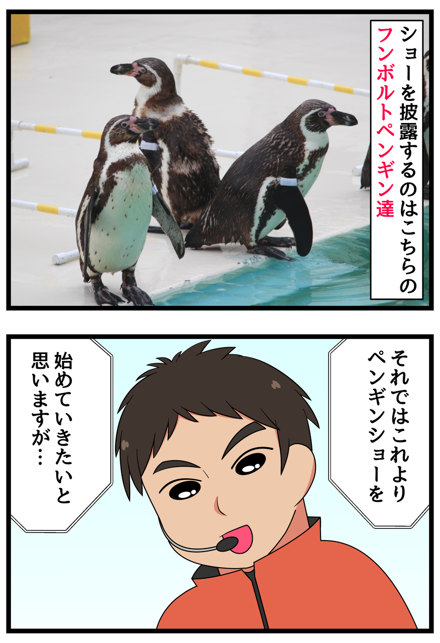 新婚旅行編 言うことを聞かないペンギンショー 前編 ひのみやメモリーズ 新婚旅行編 言うことを聞かないペンギンショー 前編 ひのみやメモリーズ