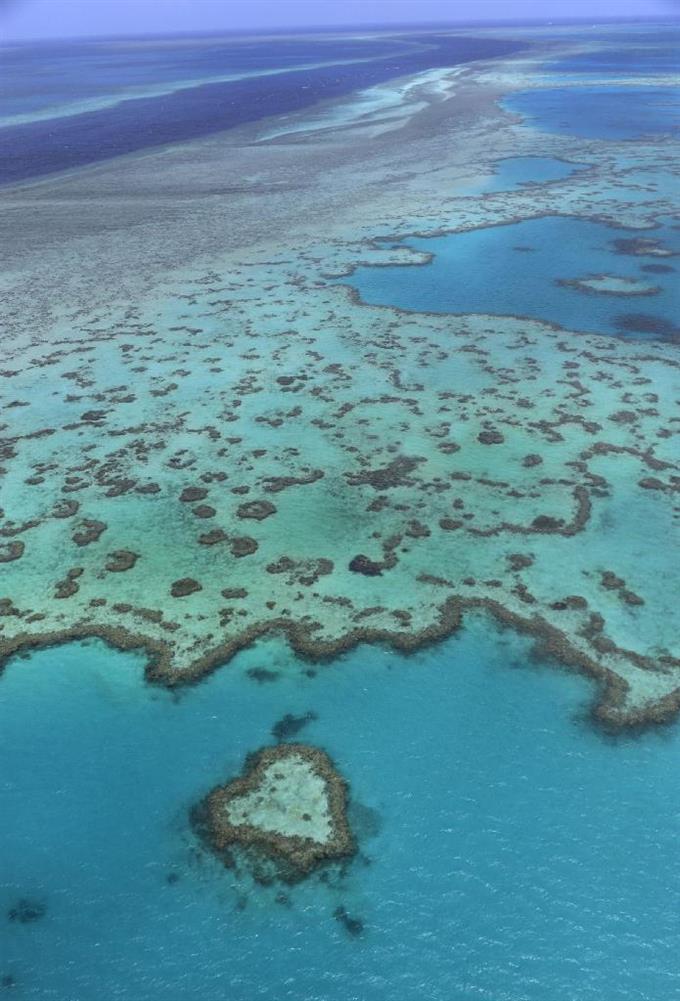 危機遺産回避に自信 三毛猫 Blog