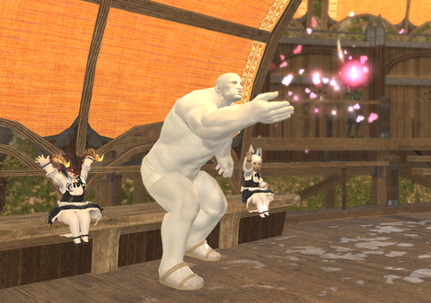 17年02月03日 ｆｆ１４ほうせき箱