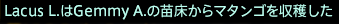 201702110009