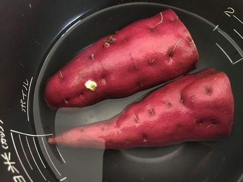201908210067