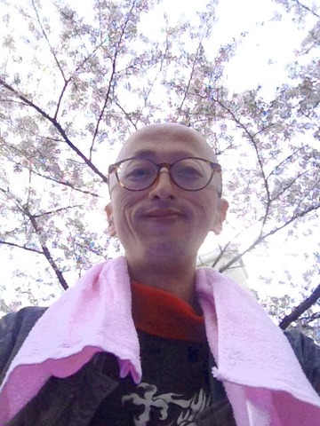 hanami2014