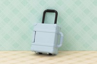 ペールアクア (4)