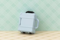 ペールアクア (5)