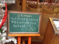 13121903
