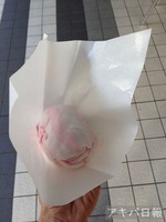 12020408