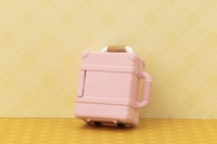 ベビーピンク (6)