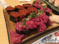 15052405