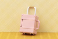 ベビーピンク (5)