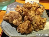 15012009