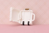 ミルキーホワイト【コトフ゛キヤショッフ゜限定】 (6)