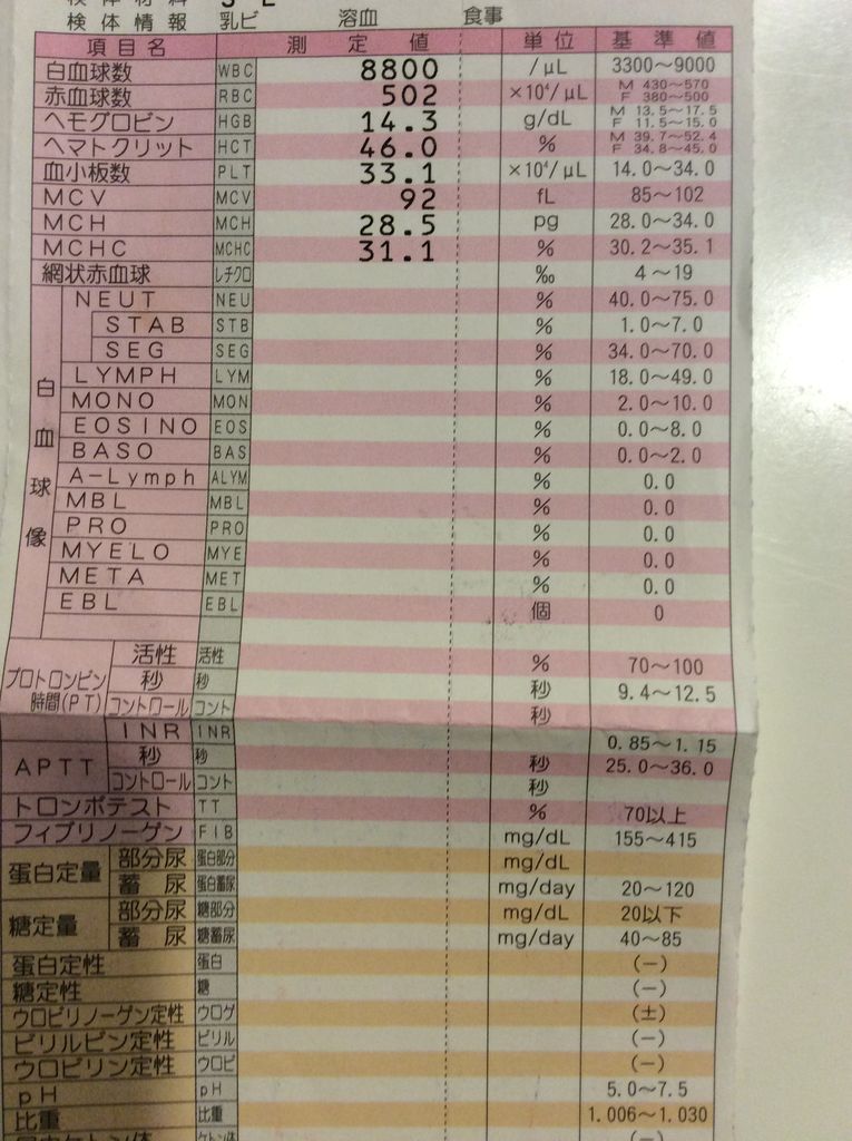 最初に病院で百日咳と診断されてから 好酸球性副鼻腔炎の発症から治療まで