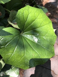 72FCB807-A9AE-49C6-937C-96CCD5139543