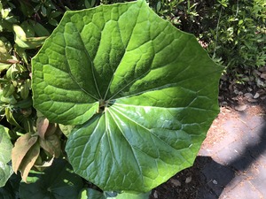 45D484CF-1FD2-4596-87CC-D29ED18F10DF