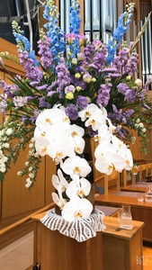 0B95176D-147E-46C5-A9FB-CA2E0C4963B4