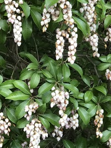 186E3B76-5C40-4791-B733-780BA6E676F1