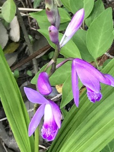 992E0A5C-D465-41CF-BA97-6459743D7BE2