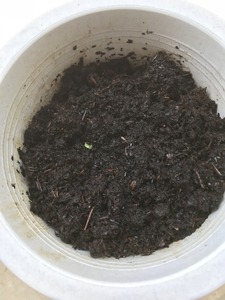 855BEB8C-F05C-4290-B7B3-B26054278150