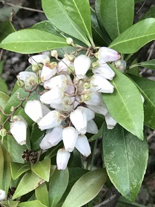 CB5CD038-AE48-4B2C-9626-E1B51FC817D9