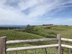 IMG_0932