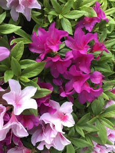 86CDC03F-EF2D-411F-A5F9-2F24761F2163