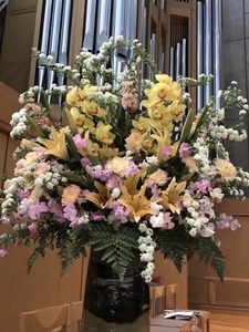 B411C4EE-4E7E-47A0-9B05-63052B06C31E