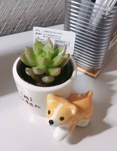 6A625ADB-655D-49E2-9B6B-51DCB3A7F02A