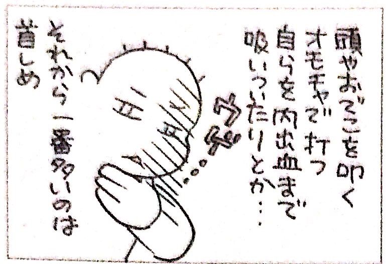自傷は悲しくなる 日本の北の方で障害児と暮らす 自傷は悲しくなる 日本の北の方で障害児と暮らす