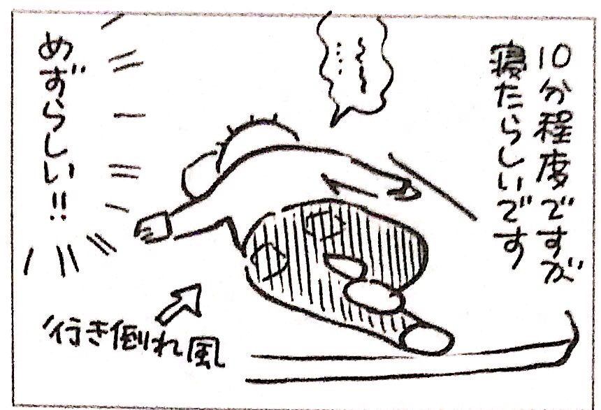 お喋りムスコくんと 久しぶりの消しゴムはんこ 日本の北の方で障害児と暮らす お喋りムスコくんと 久しぶりの消しゴムはんこ 日本の北の方で障害児と暮らす