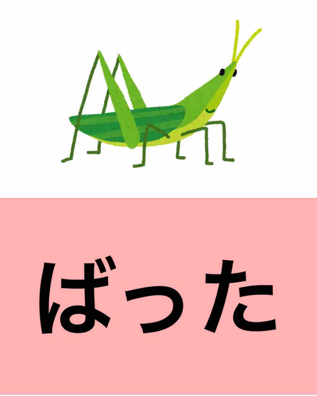 促音カード マルチリンガルのすすめ 促音カード マルチリンガルのすすめ