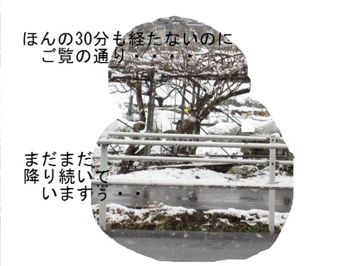 BlogPaint
