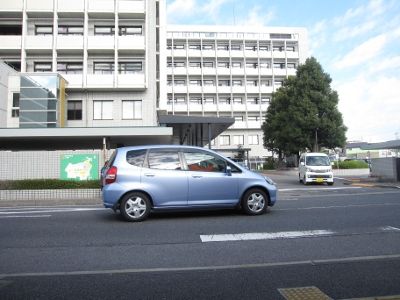 IMG_2294-1