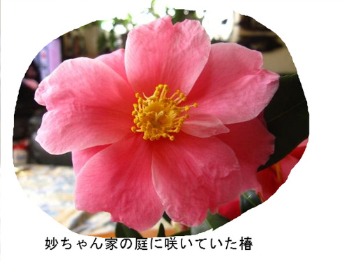 BlogPaint