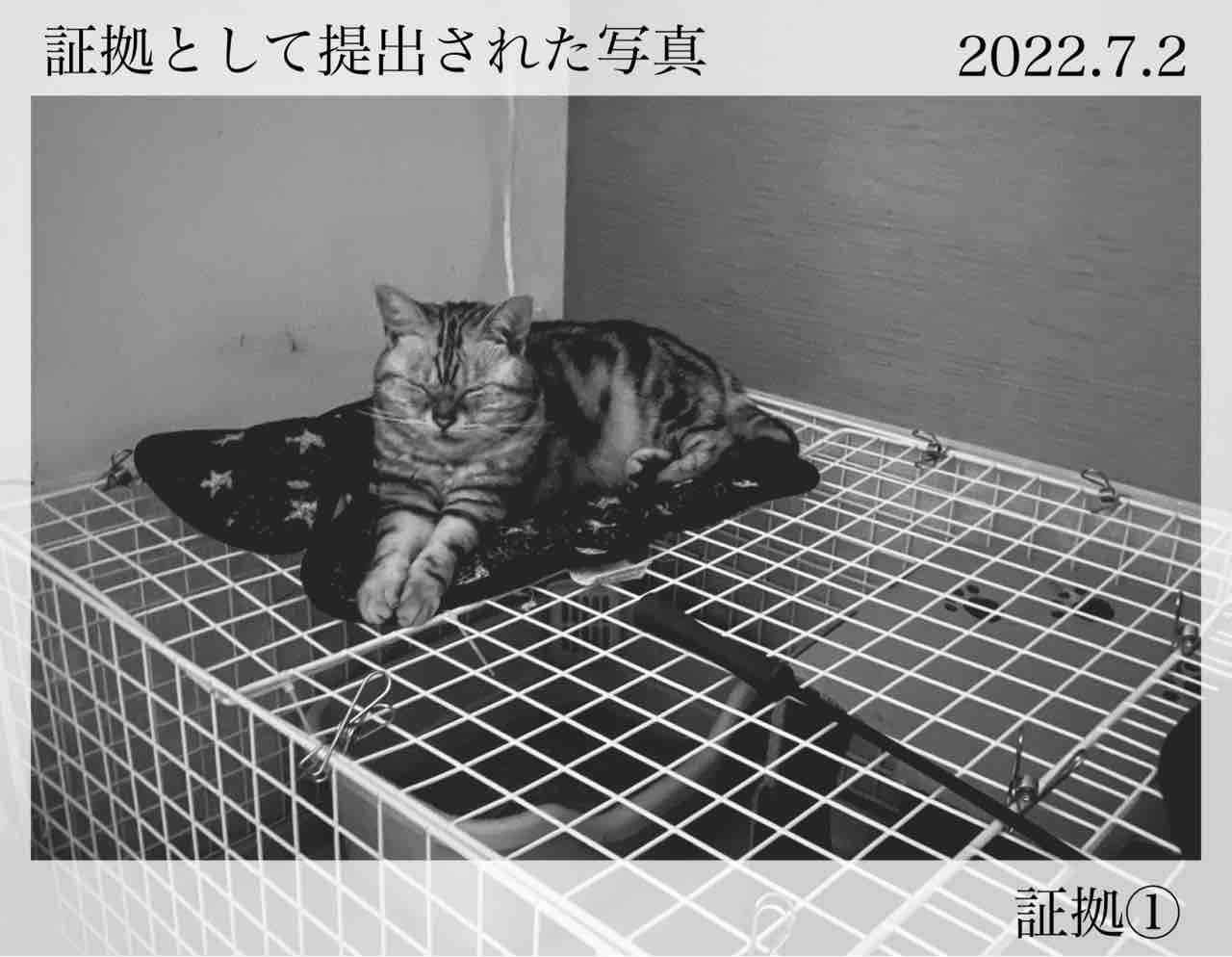 事情聴取 光のあたる場所 事情聴取 光のあたる場所