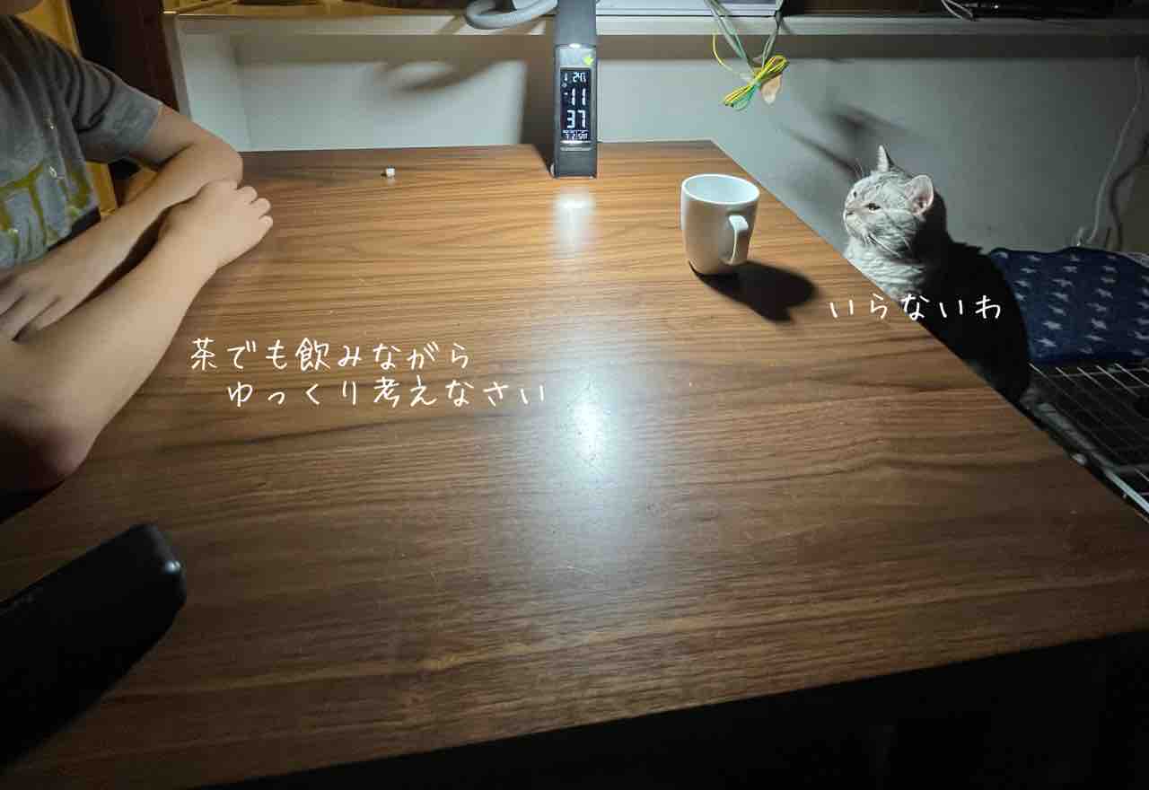 事情聴取 光のあたる場所 事情聴取 光のあたる場所