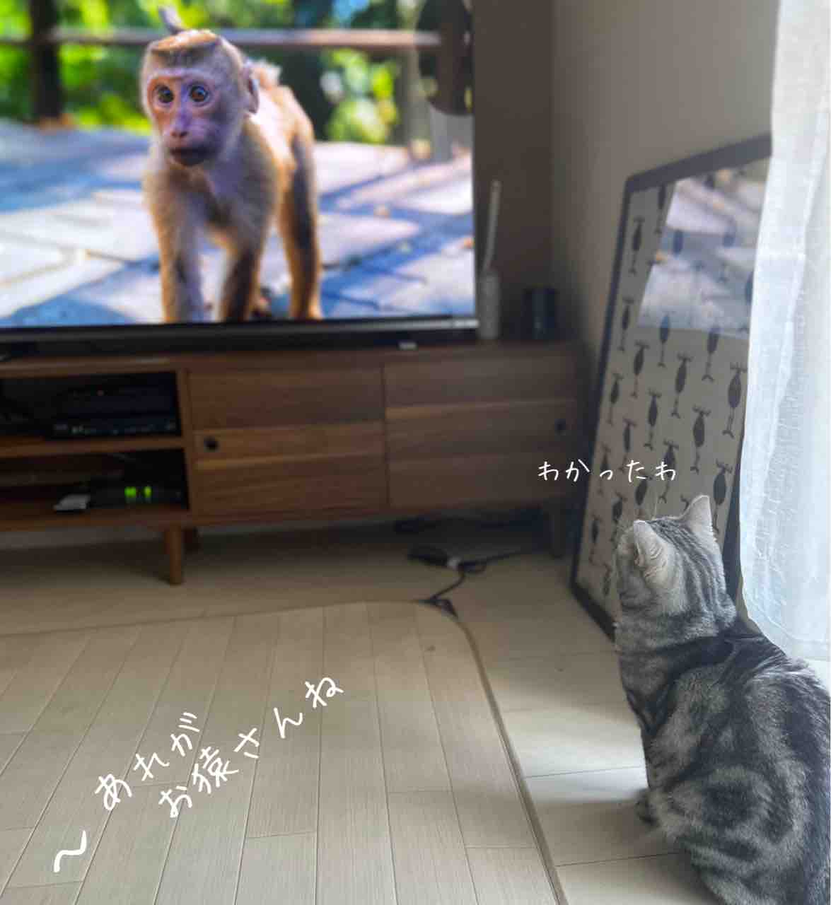 時代の流れ 光のあたる場所