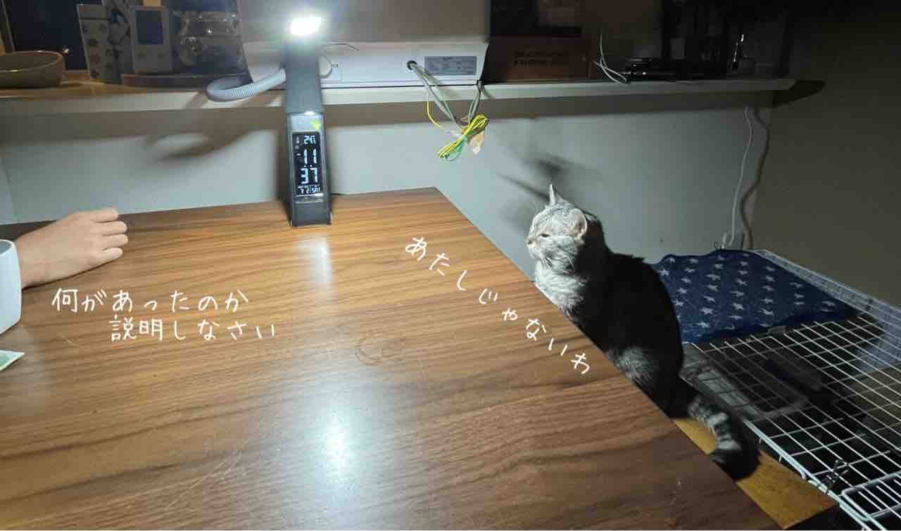 事情聴取 光のあたる場所 事情聴取 光のあたる場所