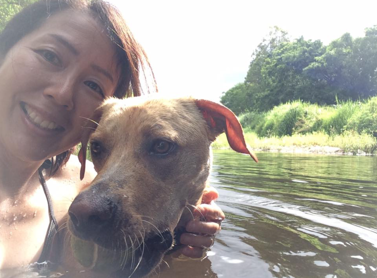 112 泳ぐのが大好きな愛犬チャッピー 35歳で日本を離れ バミューダ カナダ アメリカ オーストラリアで花装飾 112 泳ぐのが大好きな愛犬チャッピー 35歳で日本を離れ バミューダ カナダ アメリカ オーストラリアで花装飾
