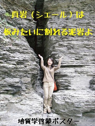 頁岩(けつがん)