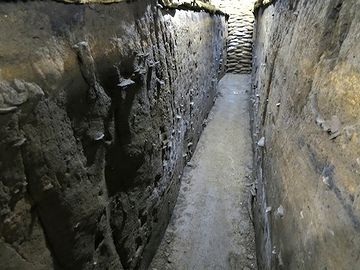 断面を見せるためです