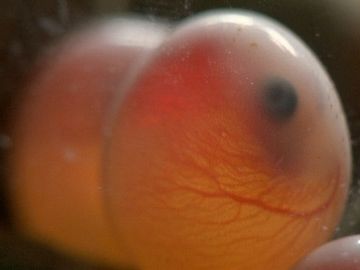 そういうシステムには、たぶん生体反応を認識する機能も備わってるわよ
