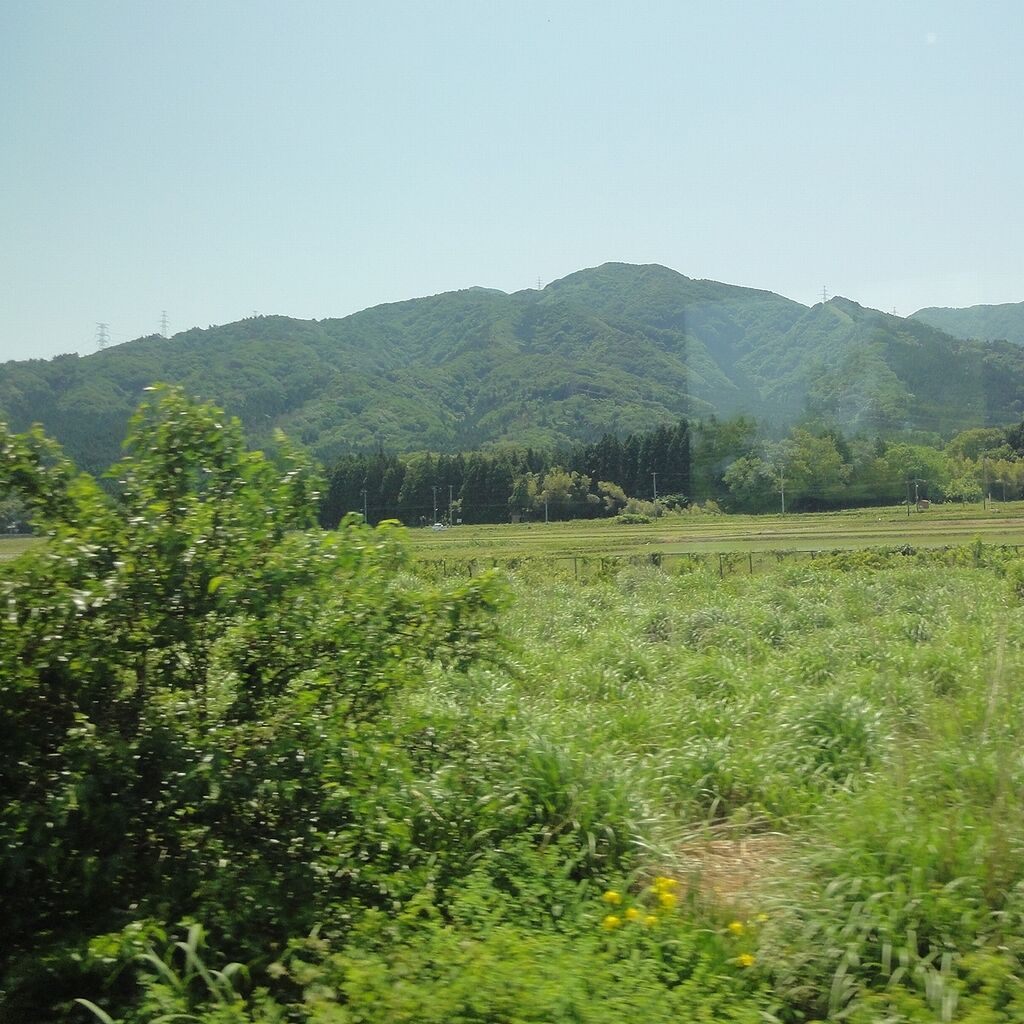 耕作放棄地かな