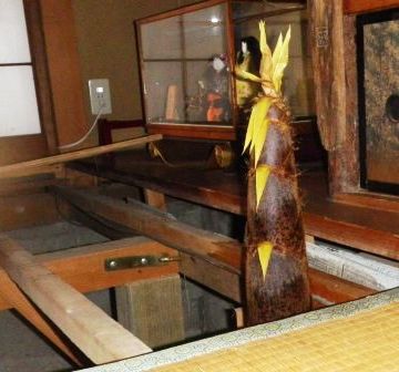 丼の真ん中から、タケノコがドカーンと抜き出てるとか?