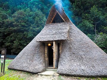 日が暮れたら、住処に帰ります