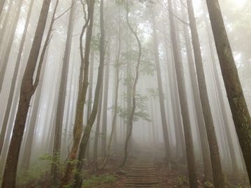 山の中で、2人きりなわけだし